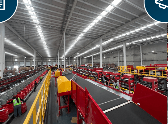 Automated Sorting System