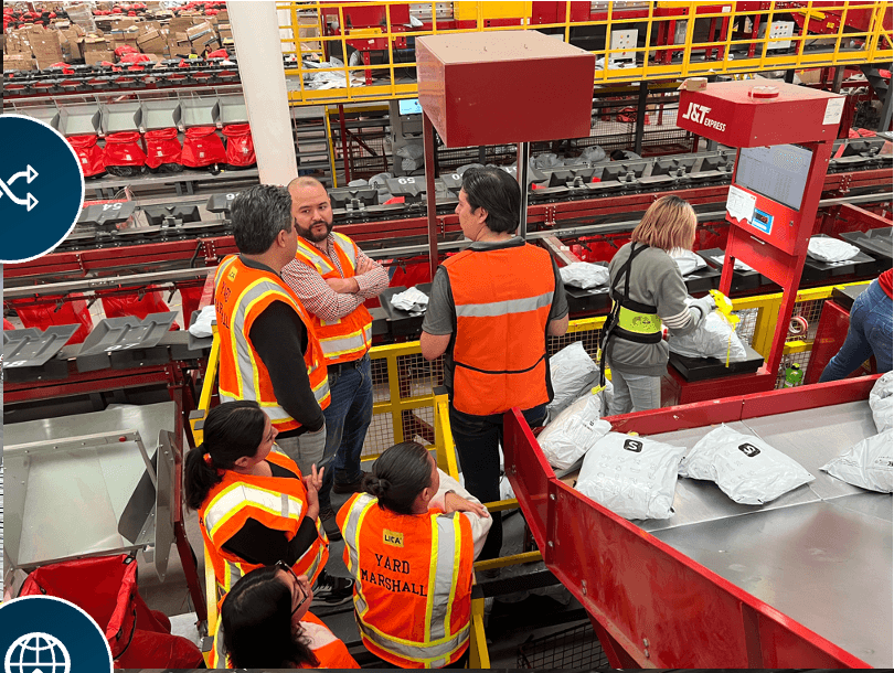 Automated Sorting System